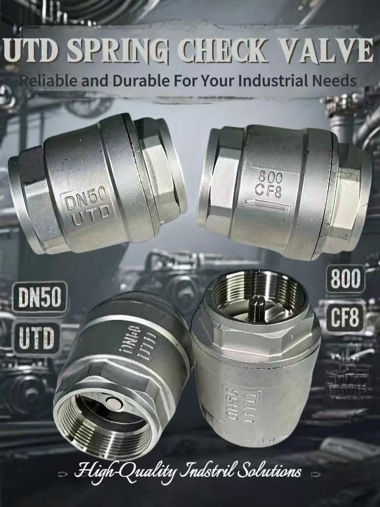 Stainless Steel Spring Check valve 400LS