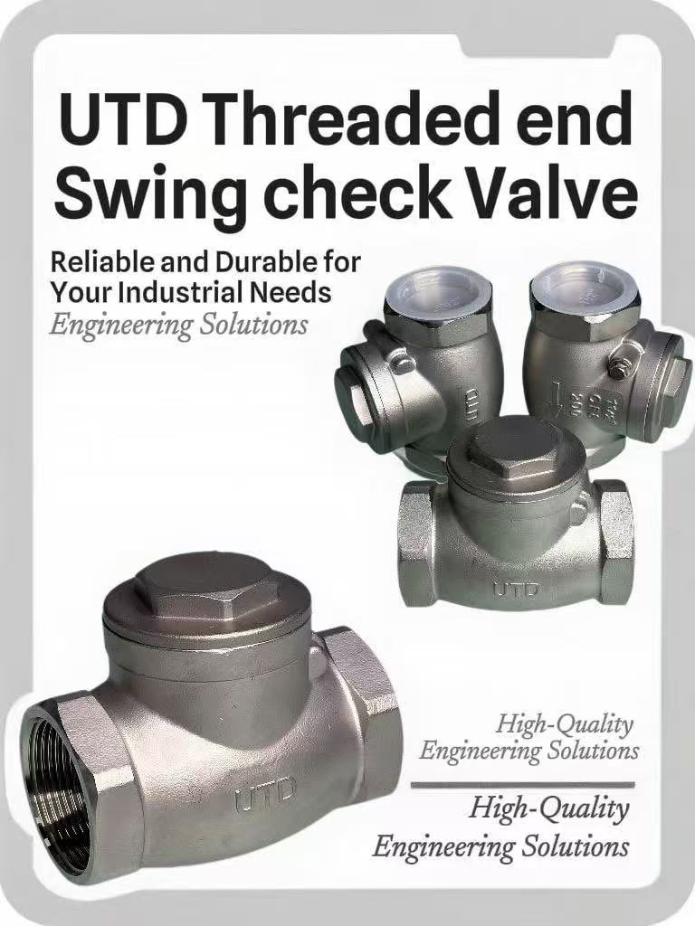 Stainless Steel Swing check valve 400S