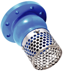 Foot valve Ductile Iron Fig. 600DF